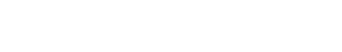 The Car Consultant